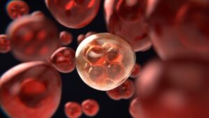 Nano-water and cancer cells